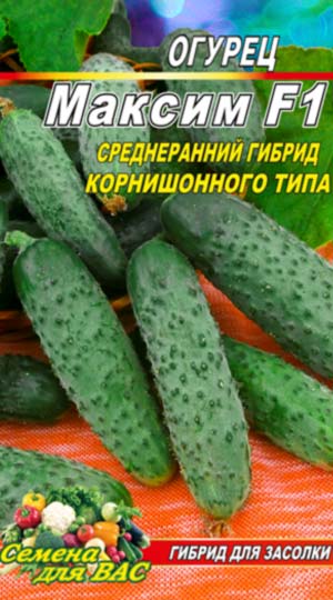 Cucumber-Maksim-F1