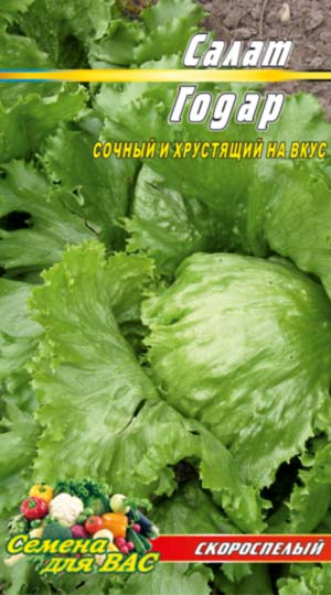 Salat-Godar-05-gramm