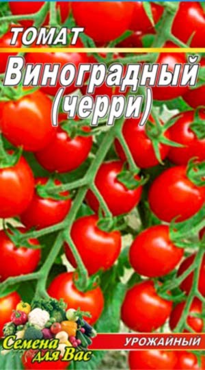 Tomato-Vinogradnyiy-cherri