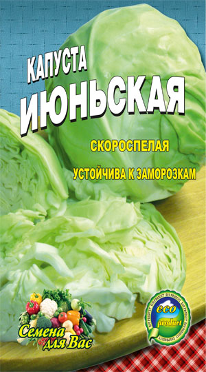 Cabbage-iyunskaya-ranniy-sort