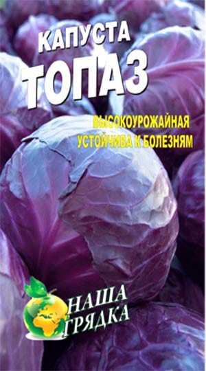 Red-cabbage-topaz