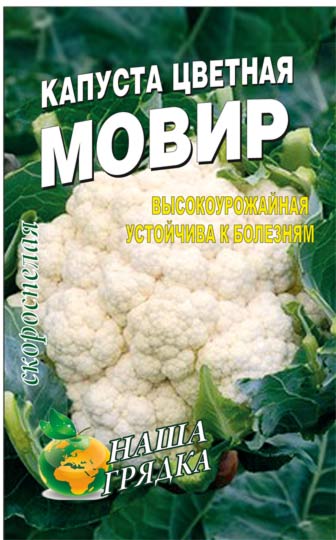 Cauliflower-movir-semena-tsvetnoy-kapustyi-kupit