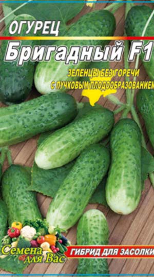 Cucumber-brigadnyiy
