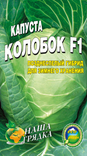 Cabbage-sort-Kolobok-F1