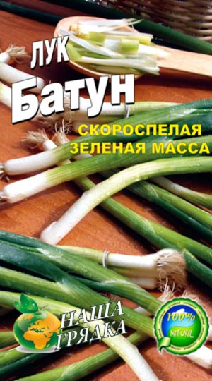 Onion-Batun-vyirashhivanie-iz-semyan
