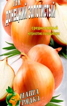 Onion-Donetskiy-zolotistyiy-semena