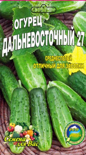 Cucumber-Dalnevostochnyiy-27
