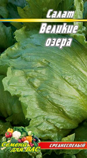 Salat-Velikie-ozyora
