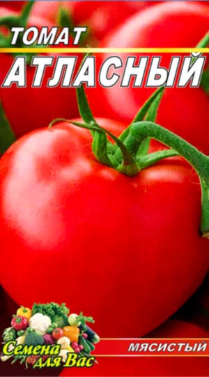 Tomato-Atlasnyiy
