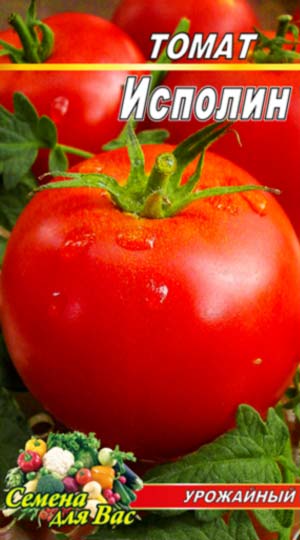 Tomato-Ispolin