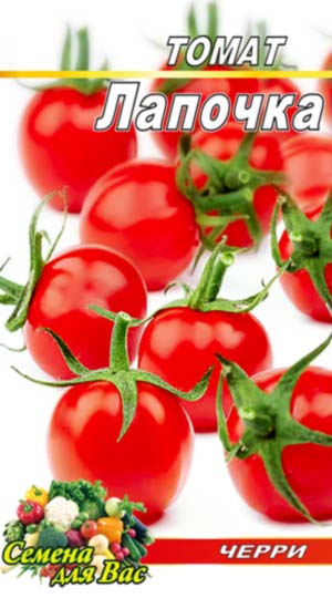 Tomato-Lapochka-cherri