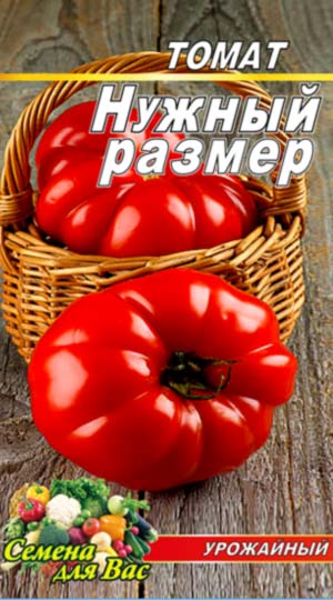 Tomato-Nuzhnyiy-razmer