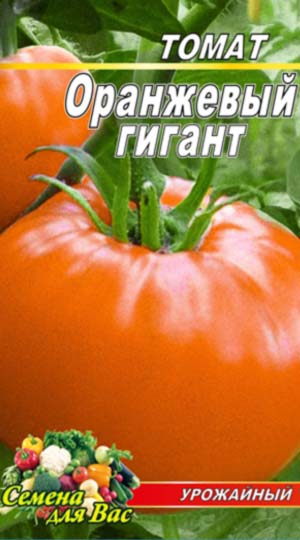 Tomato-Oranzhevyiy-gigant