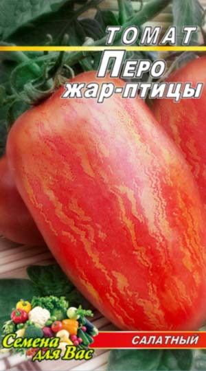 Tomato-Pero-ZHar-ptitsyi