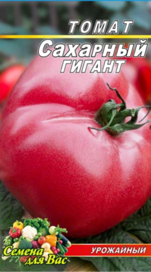 Tomato-Saharnyiy-gigant