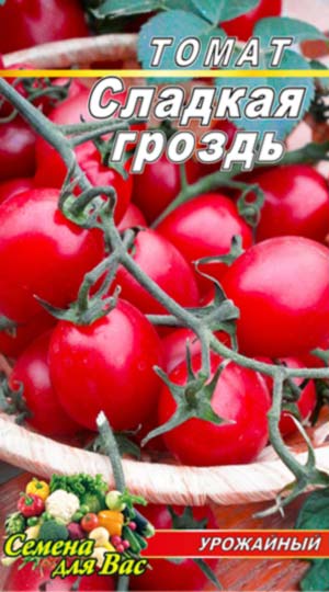 Tomato-Sladkaya-grozd