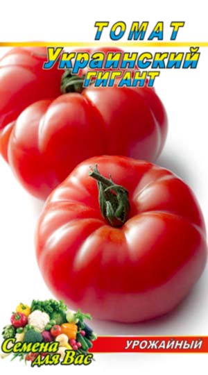 Tomato-Ukrainskiy-gigant