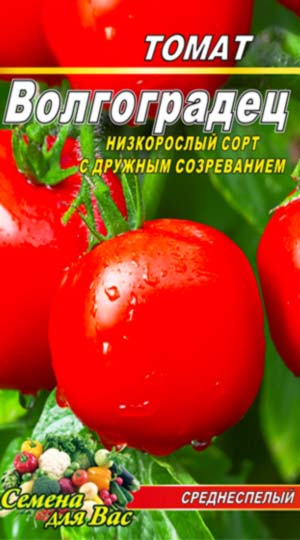 Tomato-Volgogradets