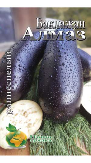 Eggplant-almaz