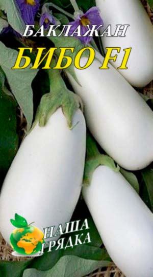 Eggplant-bibo