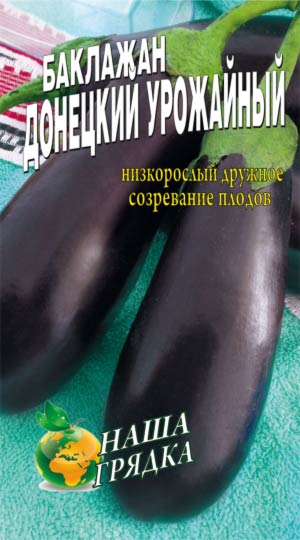 Eggplant-donetskiy-urozhaynyiy