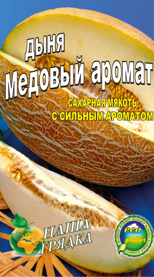 Melon-medovyiy-aromat