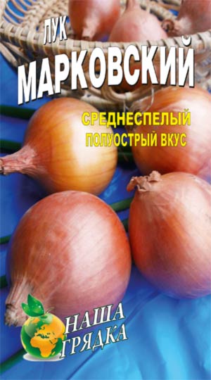 Onion-repchatyiy-sort-markovskiy