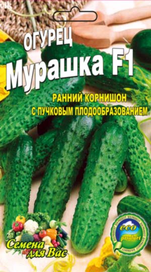 Cucumber-murashka-F1