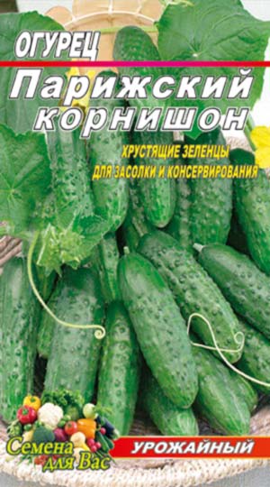 Cucumber-parizhskiy-kornishon
