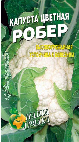 Cauliflower-rober