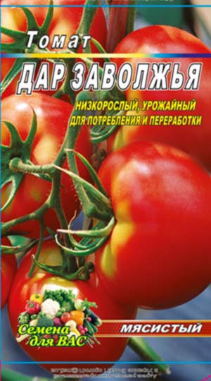 tomato-dar-zavolzhya-semena