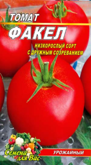 tomato-fakel