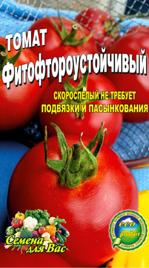 tomato-fito-ftoro-ustoychivyiy