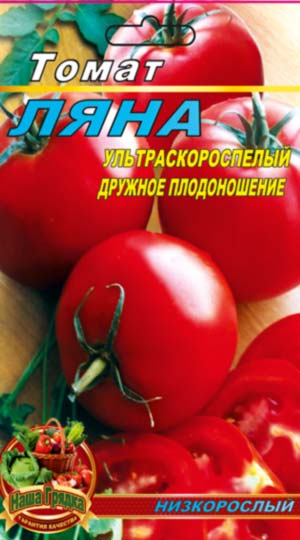 tomato-lyana