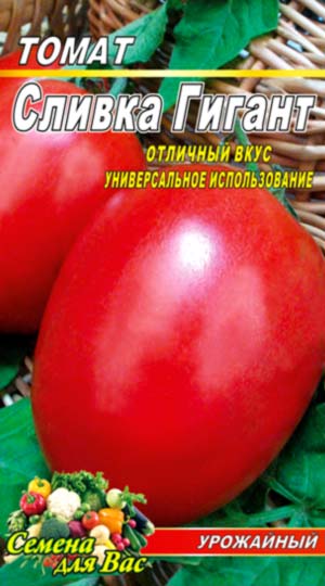 tomato-slivka-gigant