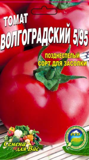 tomato-volgogradskiy-5_95
