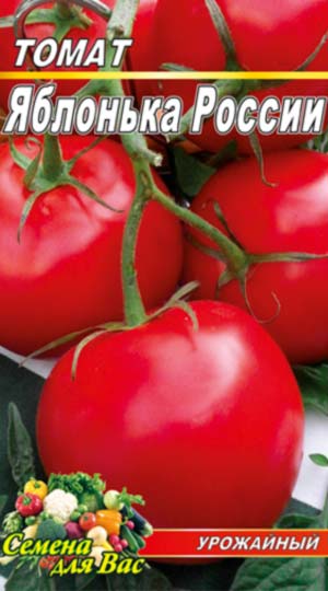 tomato-yablonka-rossii