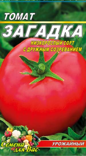 tomato-zagadka