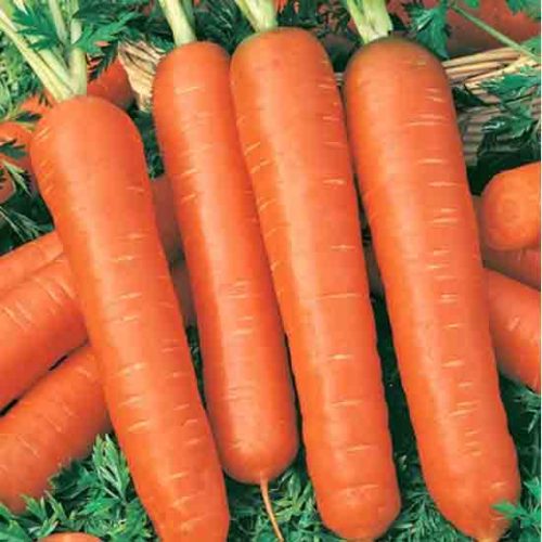 Морква Зимовий цукат